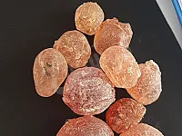 صمغ الطلح عالي الجوده الكميه بالاطنان 