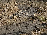 للبيع 97قصبة