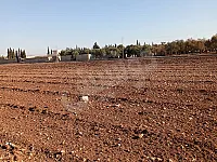 أرض زراعية للبيع في سعسع، ريف دمشق - 4600 م²
