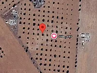 بيع أرض زراعية 18000 م² في قرية البويضةالشرقية- طابو نظامي