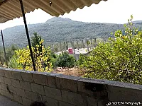 للبيع بيت عربي في منطقة دريكيش منطقة كرفس 