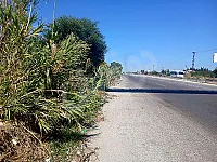 للبيع ارض على اتواستراد اللاذقية جبلة 