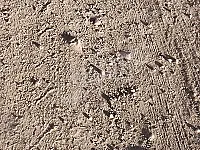 للبيع ١٥٠ دونم منطقه الرمدان عطريق العام 