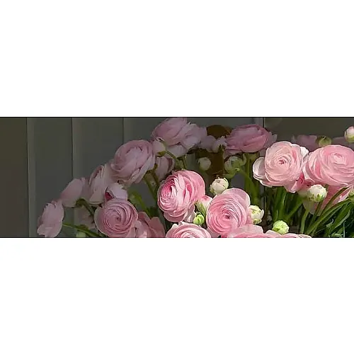 عقيل أبو بكر 