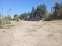 للبيع ارض على اتوستراد اللاذقية جبلة