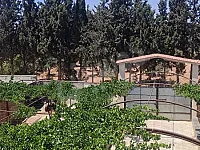 بحي الصالحية جانب معمل الحرامات ب٤٠٠ متر مصونه حيط مخدمه