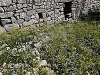 للبيع أرض بمساحة ٣٥٨ متر مربع فيها حجار قطع بقيمة ١٥ مليون