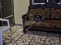 شقة مفروشة ٣ غرف  للآجار بحلب ،ميرديان عند صيدلية حميدة