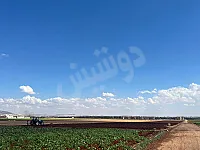 ارض زراعيه مساحة 5 دنمات تربة حمرا مطلوب بالدنم 6000$