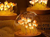 ضوء مكتببي متوفر بعدة ألوان