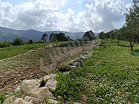 أرض زراعية للبيع في قرى الشيخ بدر - 4500 م²