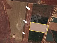 للبيع أرض زراعية في اعزاز 29000 م² بسعر 6$ للمتر