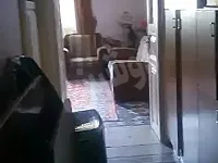 بيت بالطلياني 5 غرف وصالون طابق اول فني اتجاهات شرقي غربي