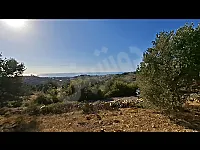 ارض زراعية دوير الشيخ سعد دونم ونص اطلالة بحرية 