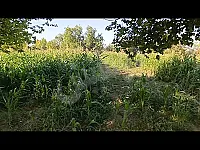 للبيع ارض في عقربا پقرب مدخل سيدة زينب