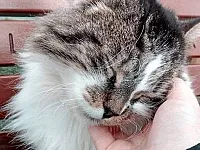 دروس خصوصية متميزة في اللغة العربية والإنجليزية بالزاهرة