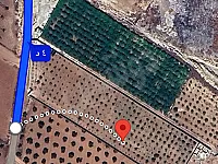 أرض زراعية للبيع في مركز حمص - 5000 م² بسعر مغري