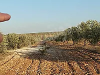 بتبعد عن حمص 10 دقايق فيا طابو وبير و62 زيتونة عمرن 20 سنة 