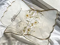 حامل للقرأن الكريم 