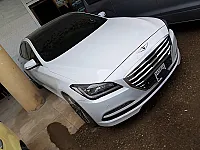 جنسس ٢٠١٤ بالشحم