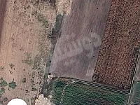 يبعد عن الطريق العام 50متر طريق زراعي مساحه 3000 عرض 30وطول 100