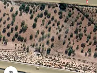 ارض زراعية للبيع في أريحا - إدلب بمساحة 3500 م²