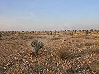 أرض زراعية مساحتها 38دونم 