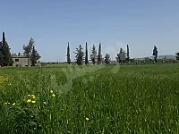 قطعة أرض للبيع 