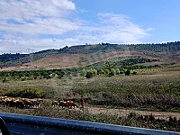 للبيع ارض على اتواستراد Mp4 مساحتها 