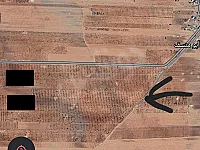 ارض للبيع فستق وزيتون