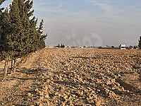 أرض زراعية في القصير 20803 متر مربع