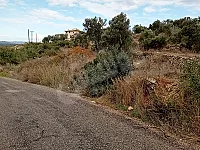 عقار للبيع مقسم الى مقسمين كل واحد بمساحة الف متر مربع