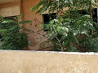 للبيع شاليه عالهيكل طابق ارضي 70 متر منطقة بصيرة