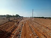 أرض زراعية للبيع في كفرعايا، حمص - 6000 م² بسعر مغري