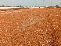 أرض زراعية للبيع في كفرعايا حمص - 10000 م²