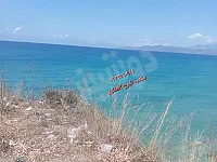 للبيع أرض زراعية في طوق اليلد البصة - 4250 م²  