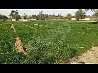 أرض زراعية للبيع في عقربا - 3600 متر بسعر 10 مليون