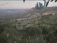 أرض زراعية 17 دونم 