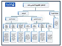 تأسيس شركات في سوريا بسرعة واحترافية