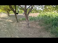 ارض 60 قصبة بعقربا مدخل سيدة زينب بسعر لبلاش