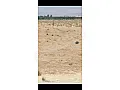 ريف دمشق الغزلانية