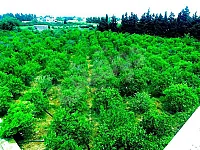 للبيع بسعر لقطة 