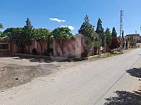 فييلا عضم طابقين  دنم و ربع ريف دمشق دروشا