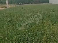 للبيع ارض زراعية بالغوطة الشرقية  مسورة ضمن مزارع ريف دمشق زبدين